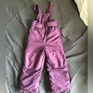 Cherokee Purple Snow Bib